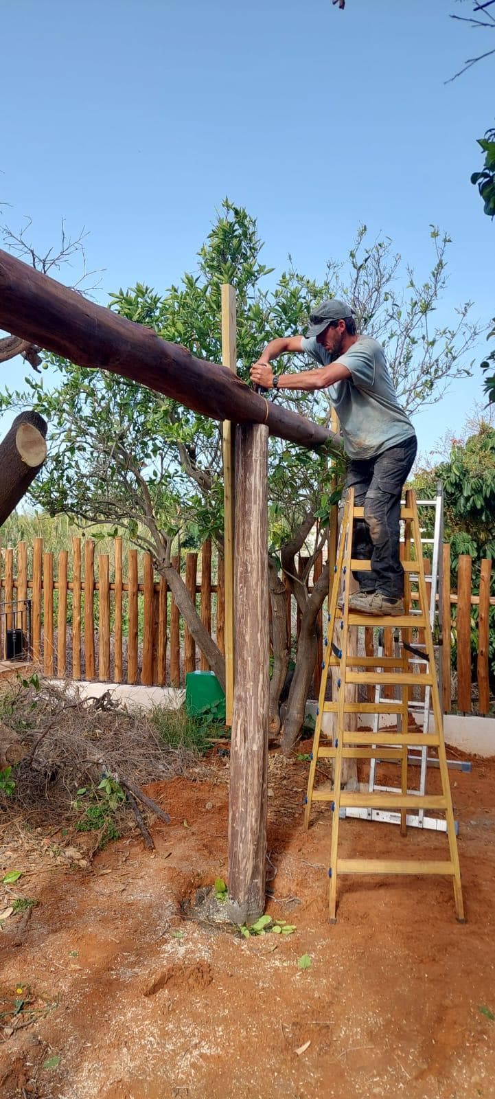 פרגולה בכניסה לבית